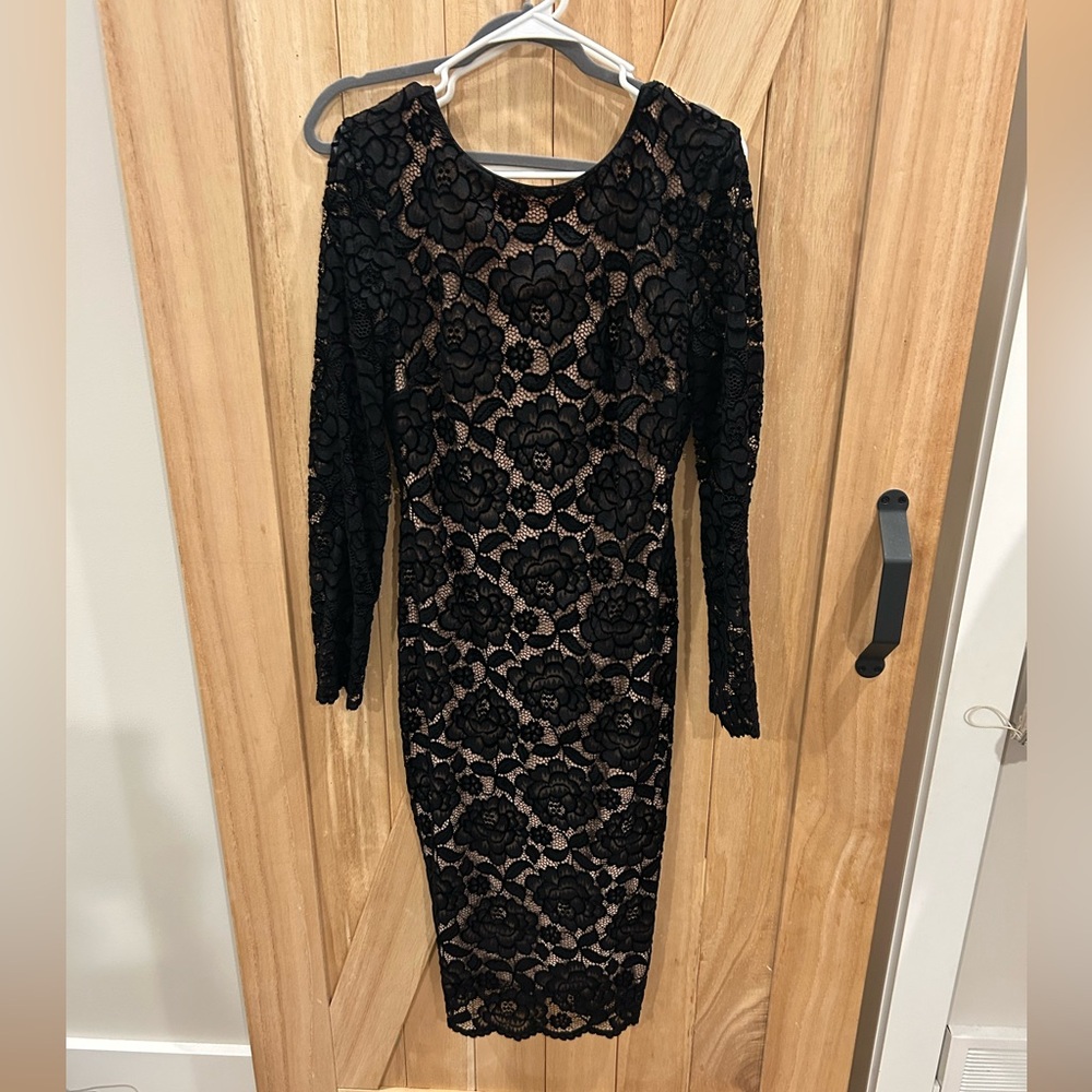 Dress the Population Lace Sheath Dress with Nude Lining